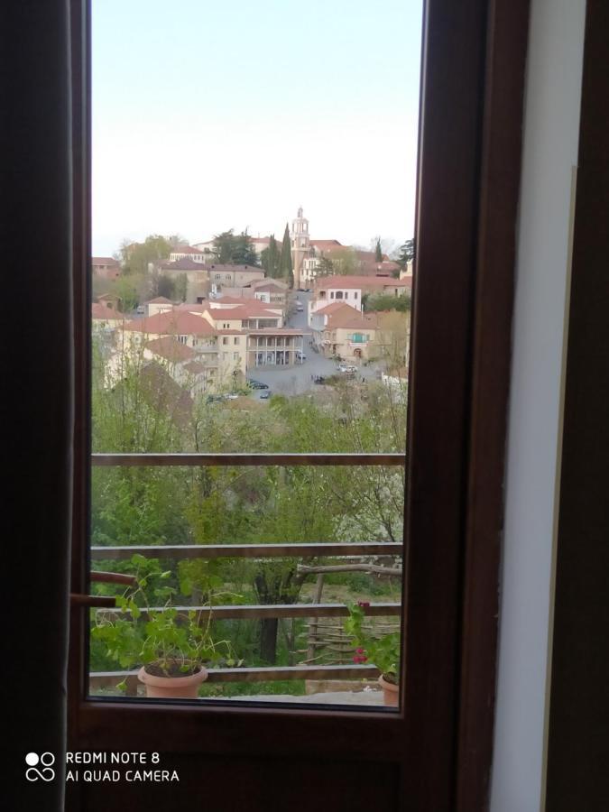 Guest House David Signagi Exterior foto