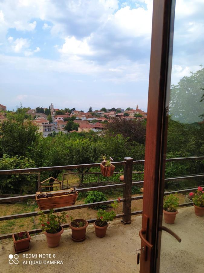 Guest House David Signagi Exterior foto
